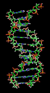 DNA_orbit_animated_static_thumb