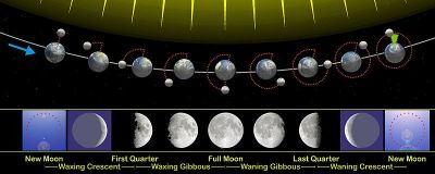 Moon_phases_en