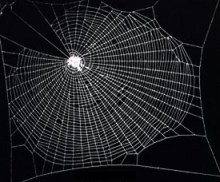To picture Coherentism, try thinking about a spider's web.