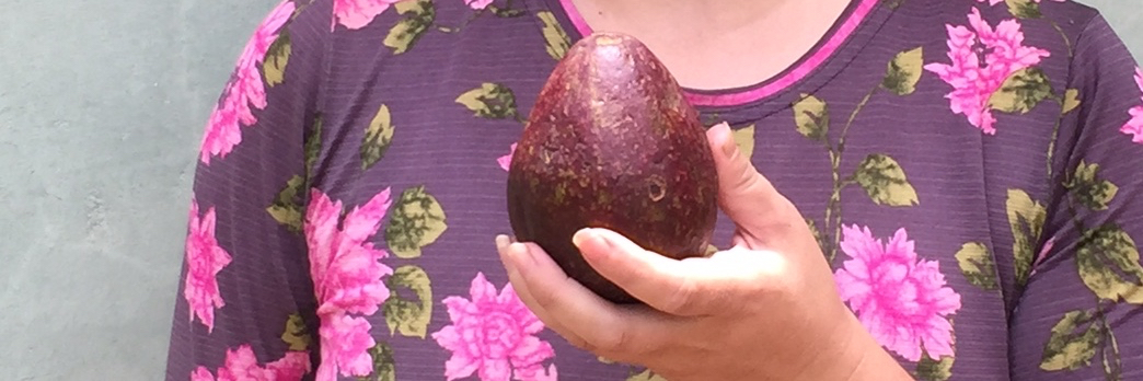 Avocados and Autism | Applied Sentience